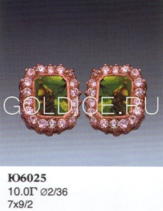 Ю6025