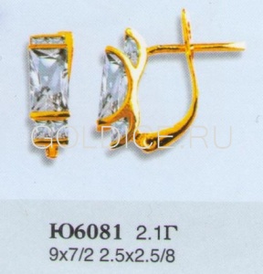 Ю6081