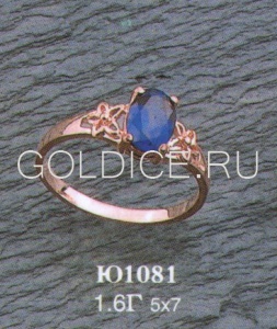Ю1081